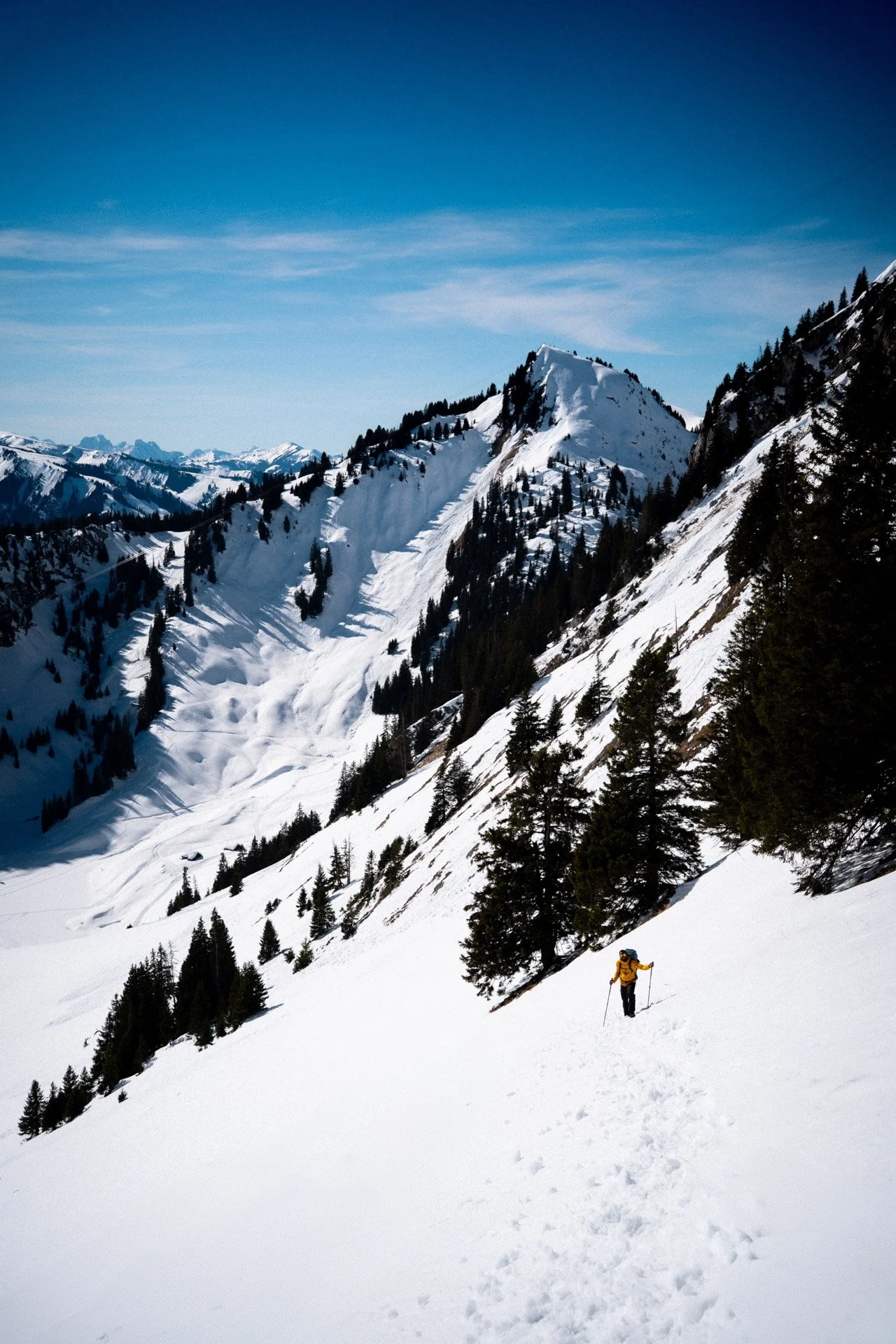 _NEW2607-Edit.jpg
