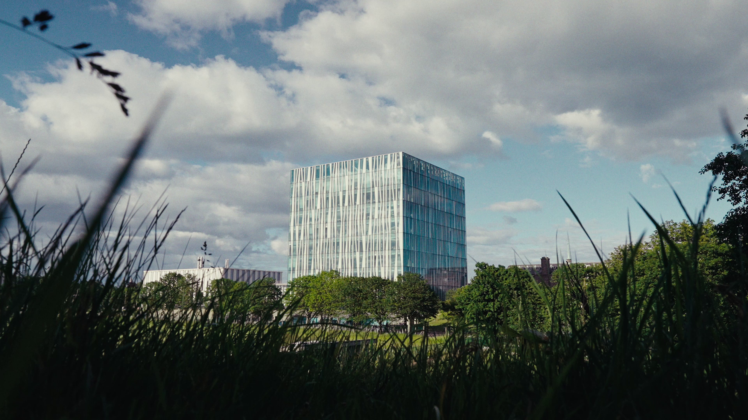 vlcsnap-2026-08-21-16h58m26s220.png