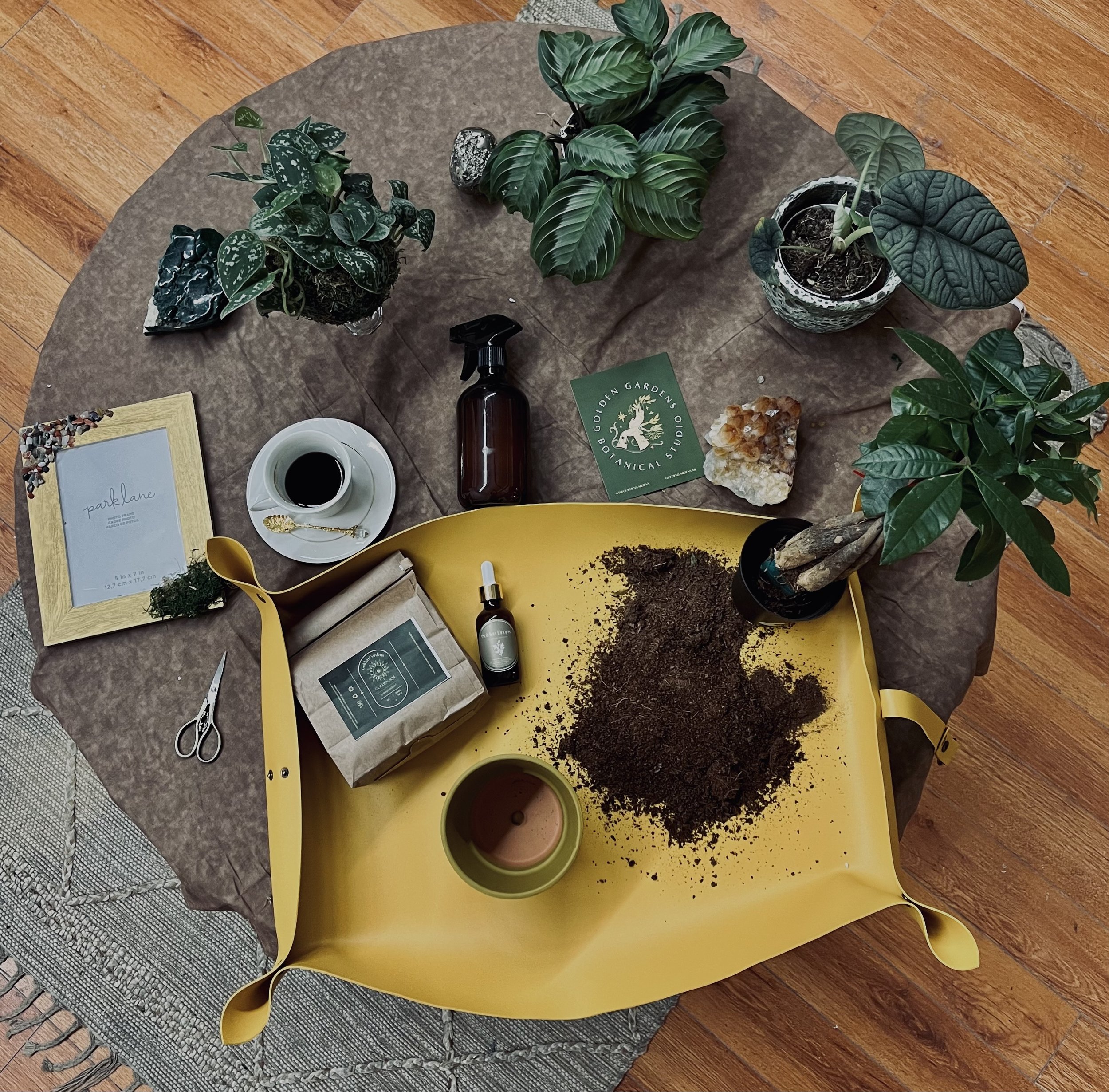 Holy Trinity Plant Care Collection