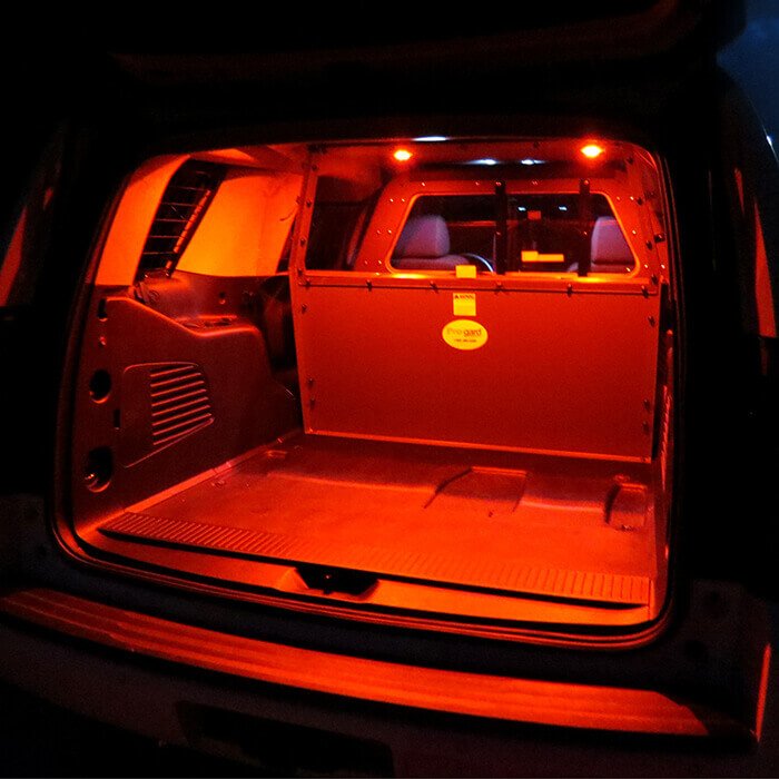 PTLighting_4_700x700.jpeg