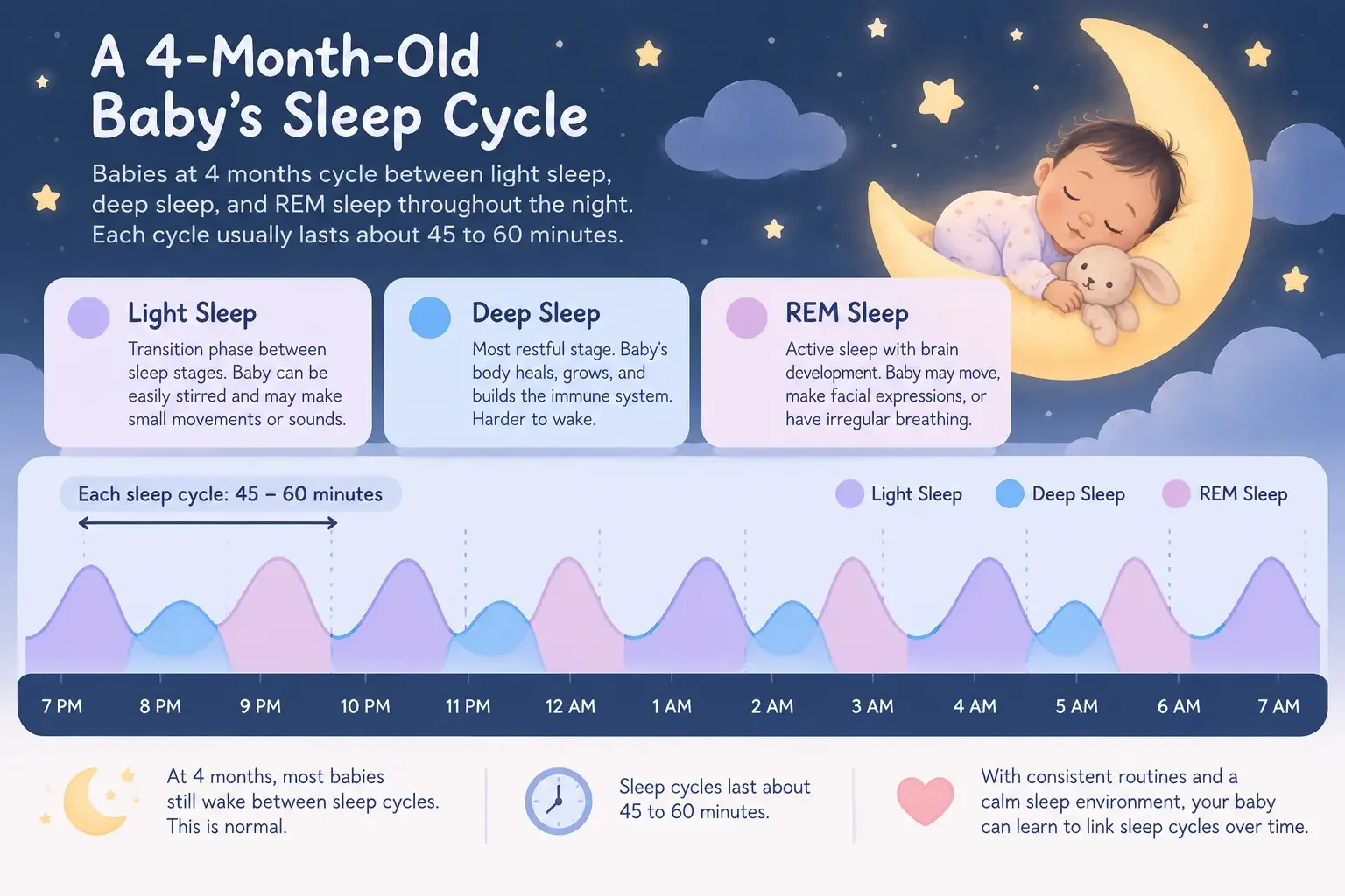 Illustration showing how a four-month-old baby's sleep cycles move between light sleep, deep sleep, and REM sleep