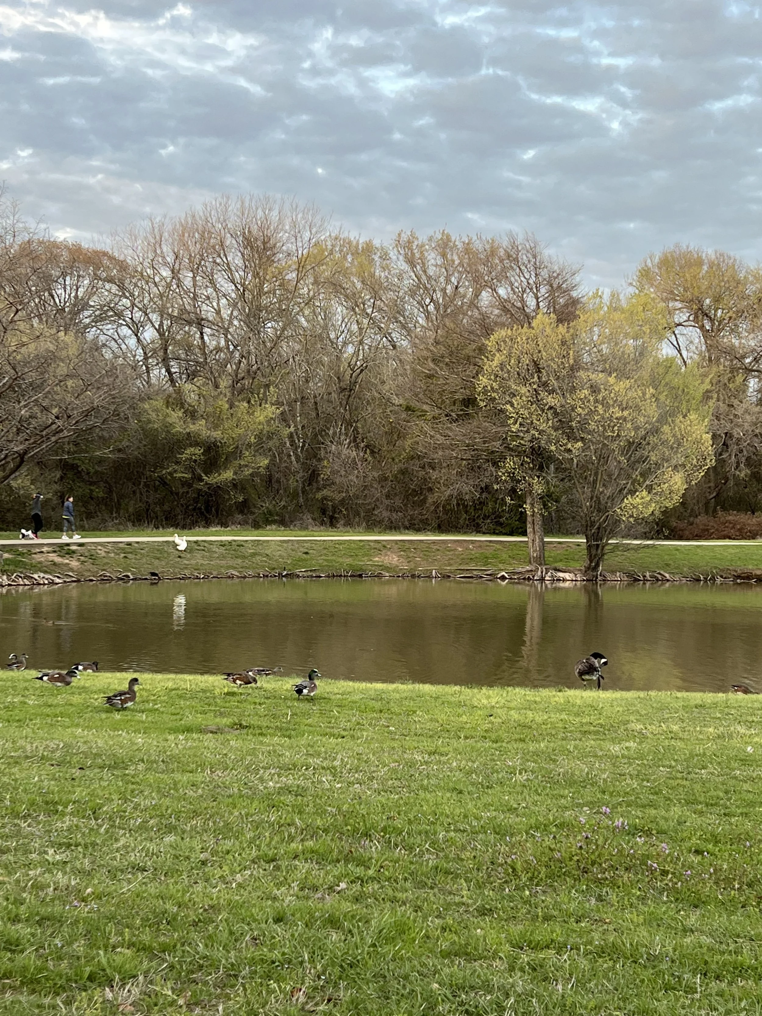 5 Walking Trails Near Lewisville That Will Make You Want to Ditch Your Car