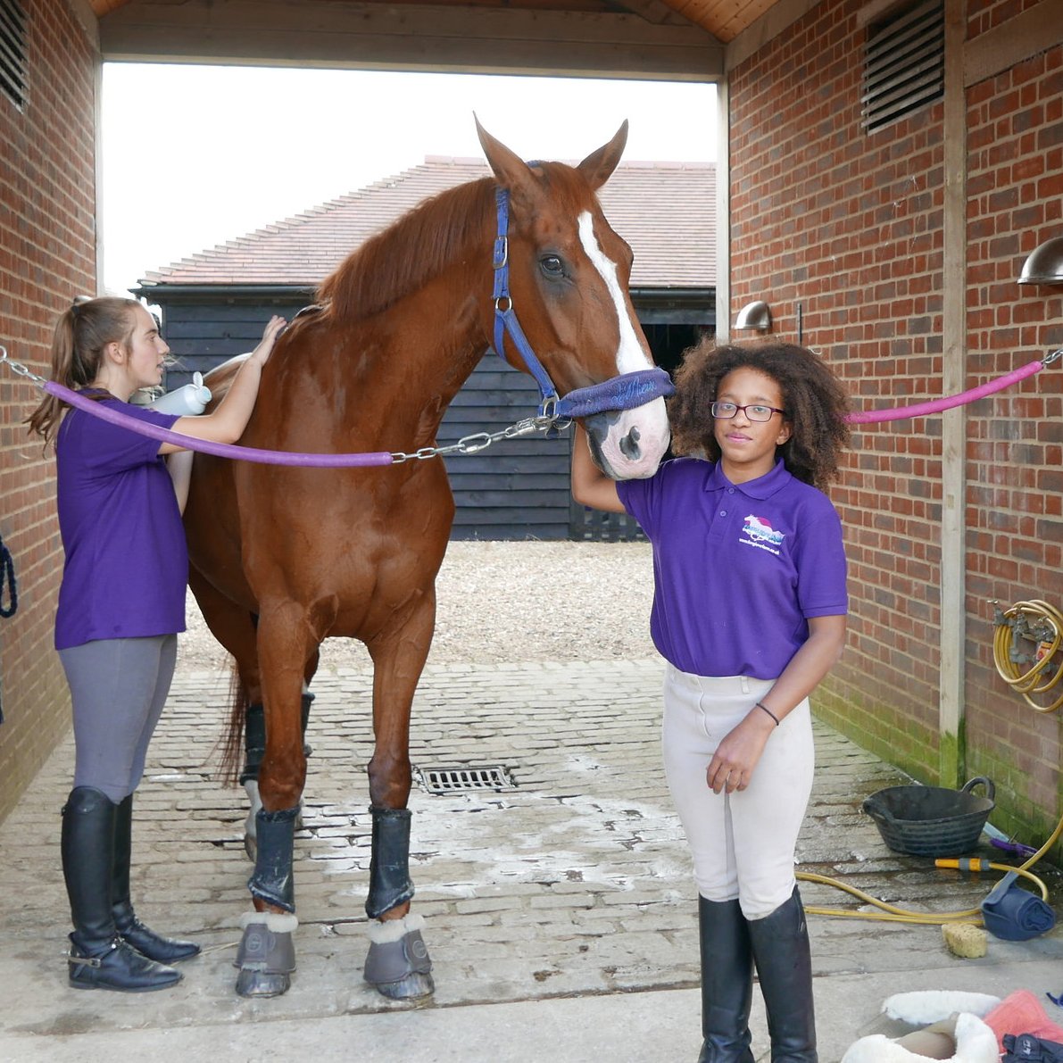 Two girls, one grooming a brown horse while the other is holding him looking at the camera and smiling, both wearing Foxglove Farm polo t-shirts in signature purple with logo designed by Yeswaydesign