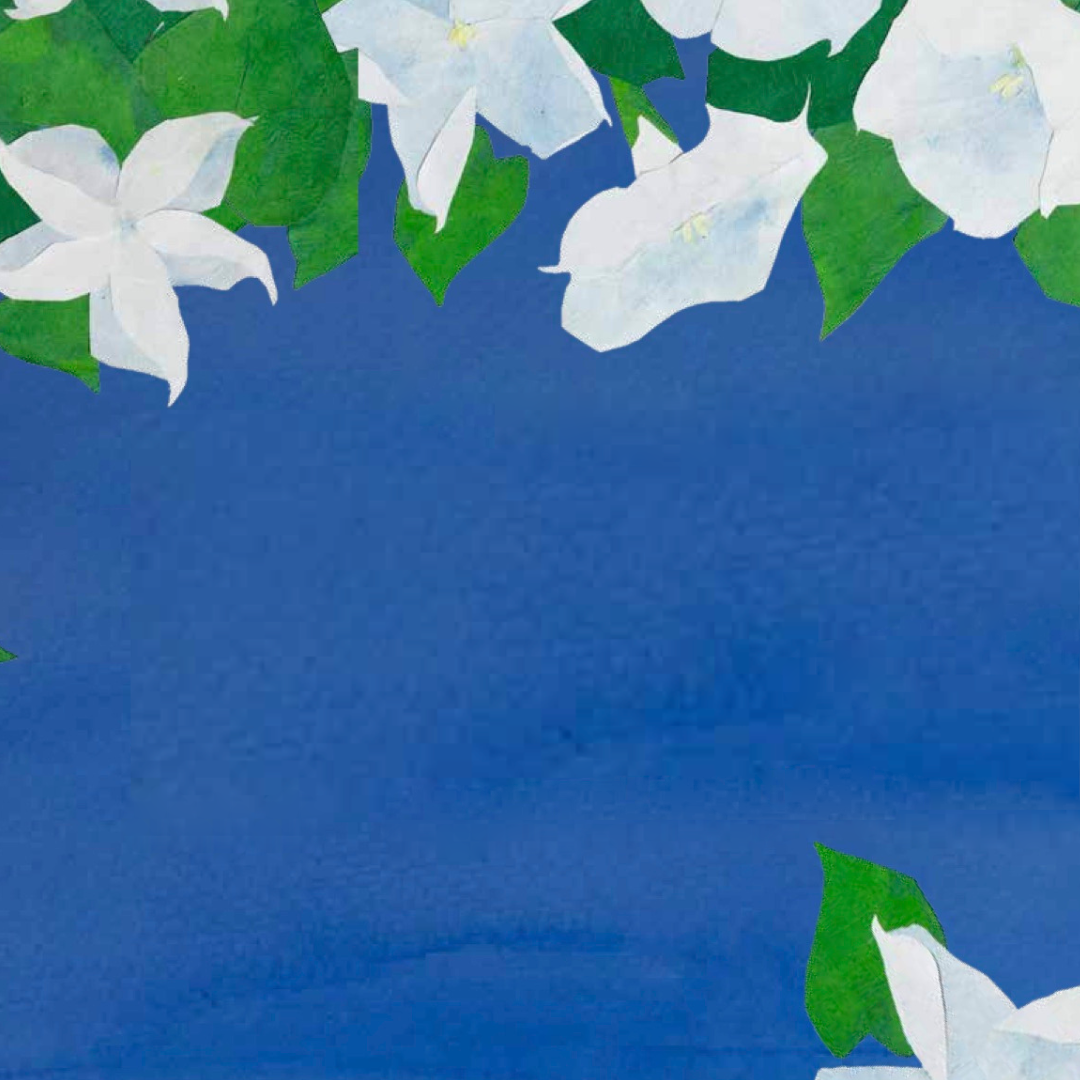 Plants Can't Sit Still — Rebecca Hirsch's website