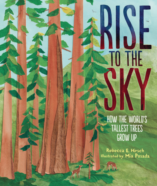 Three starred reviews for Rise to the Sky!