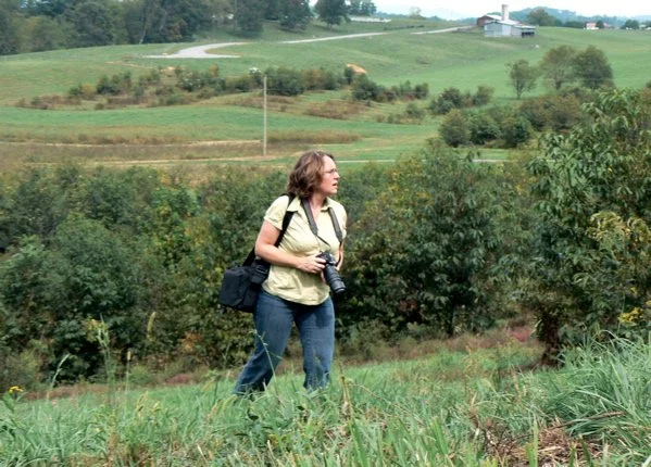 Meadowview_1.jpg