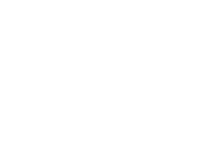 bristlecone_logo.png