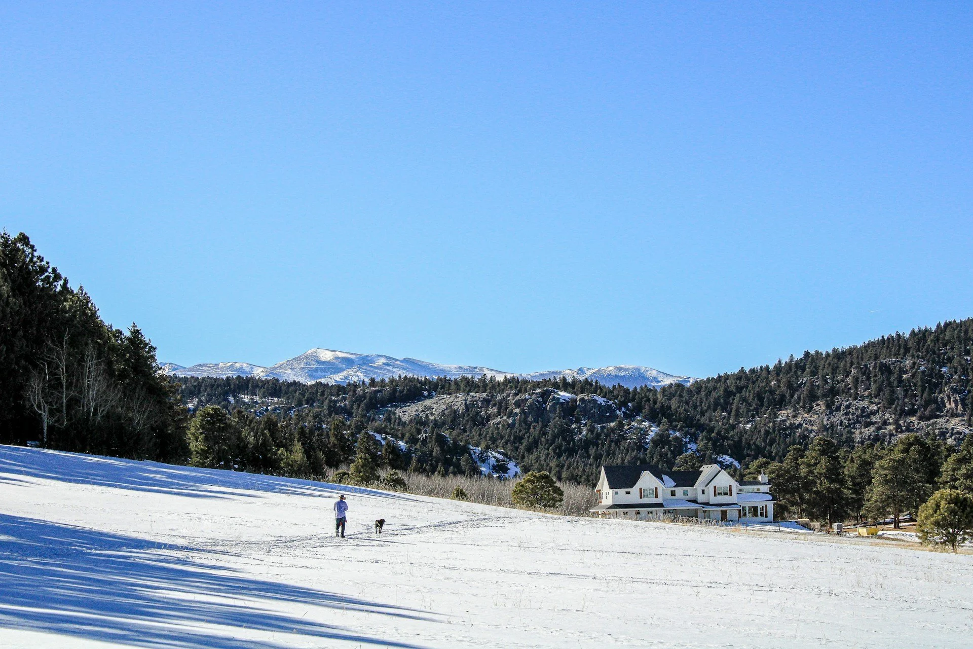 A Colorado homeowner walks their dog back to a well-maintained home in the middle of winter.