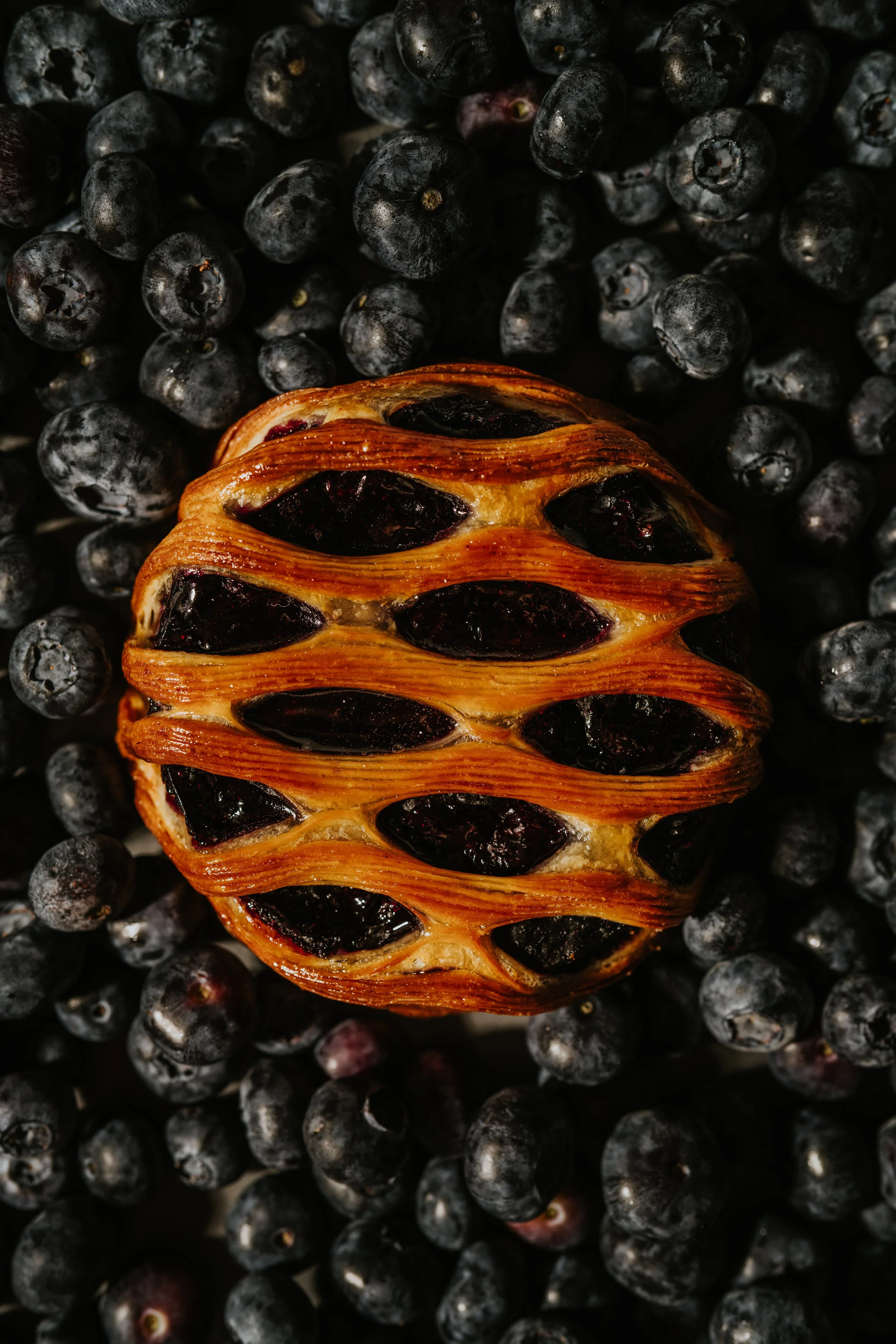 Blueberry &amp; Lemon Lattice