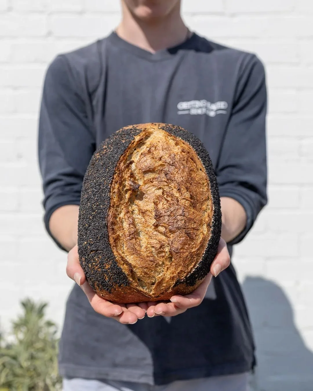 The Baker's Duck Toowoomba Artisan Bakery