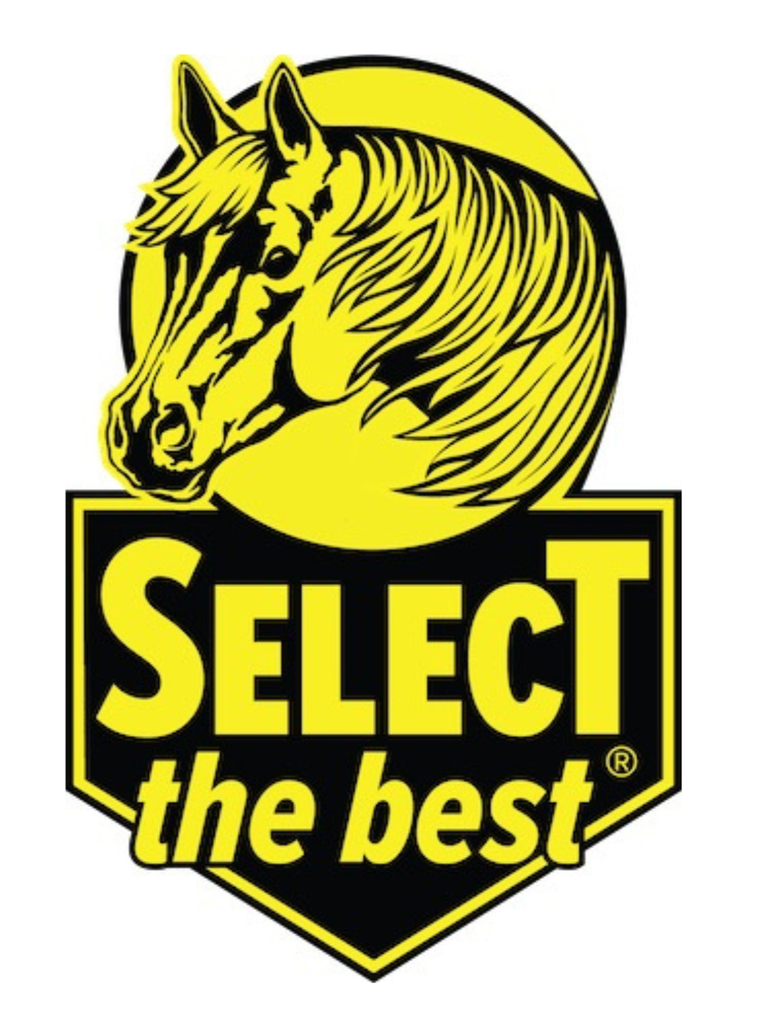 11.png