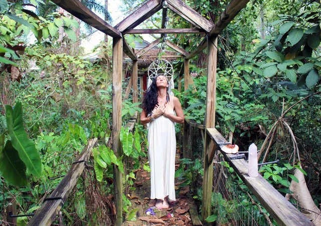 vibrations of the heart