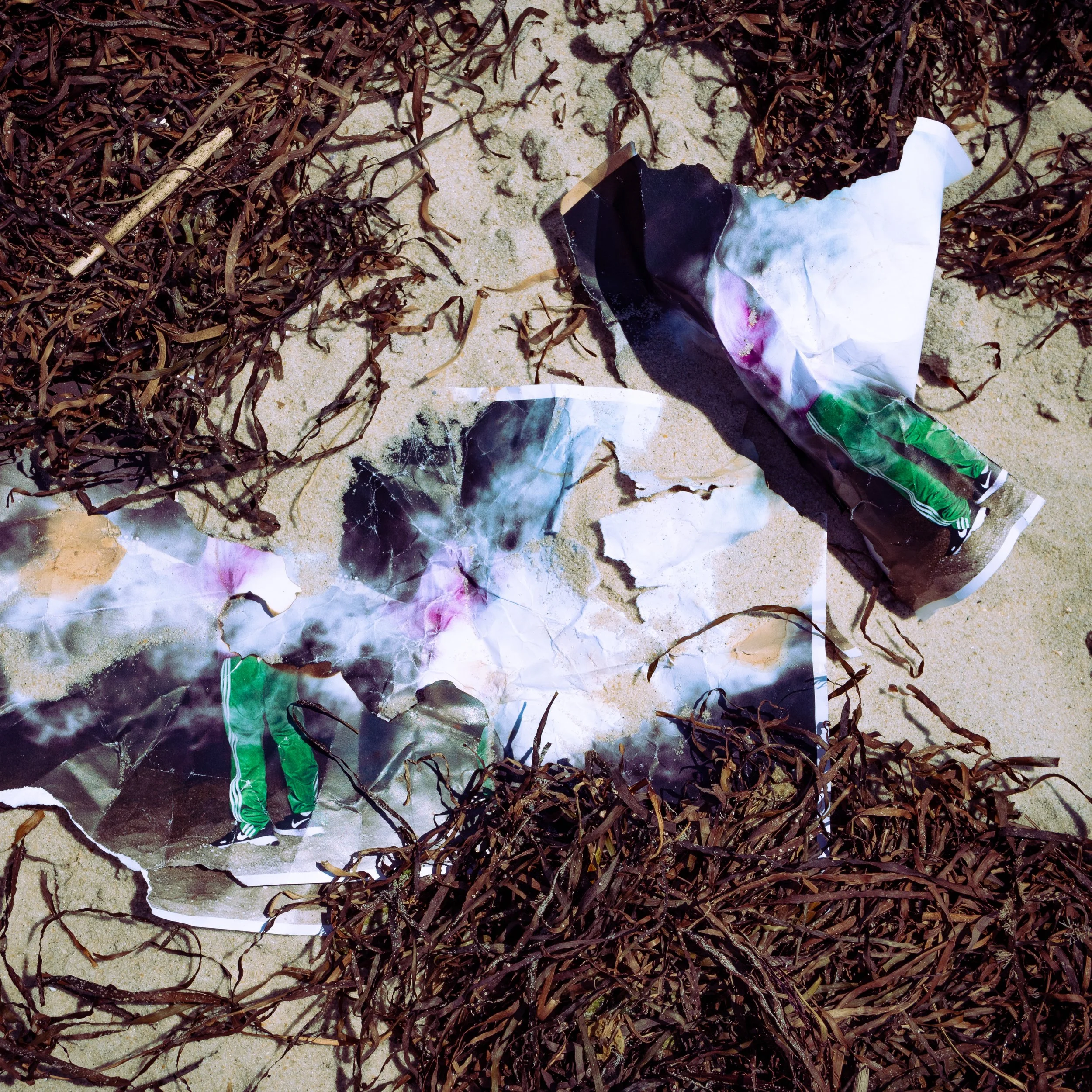 destroyed_cover-3.jpg