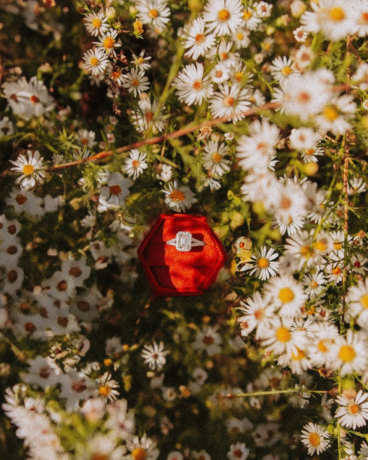 Aahh!! I&rsquo;m obsessed with these ring shots!🥹💍
&bull;
&bull;
&bull;
I love how each of them are so unique &amp; fit their personalities so well!! Thank you for taking a moment to appreciate each of these pics. Can&rsquo;t wait for more wedding 
