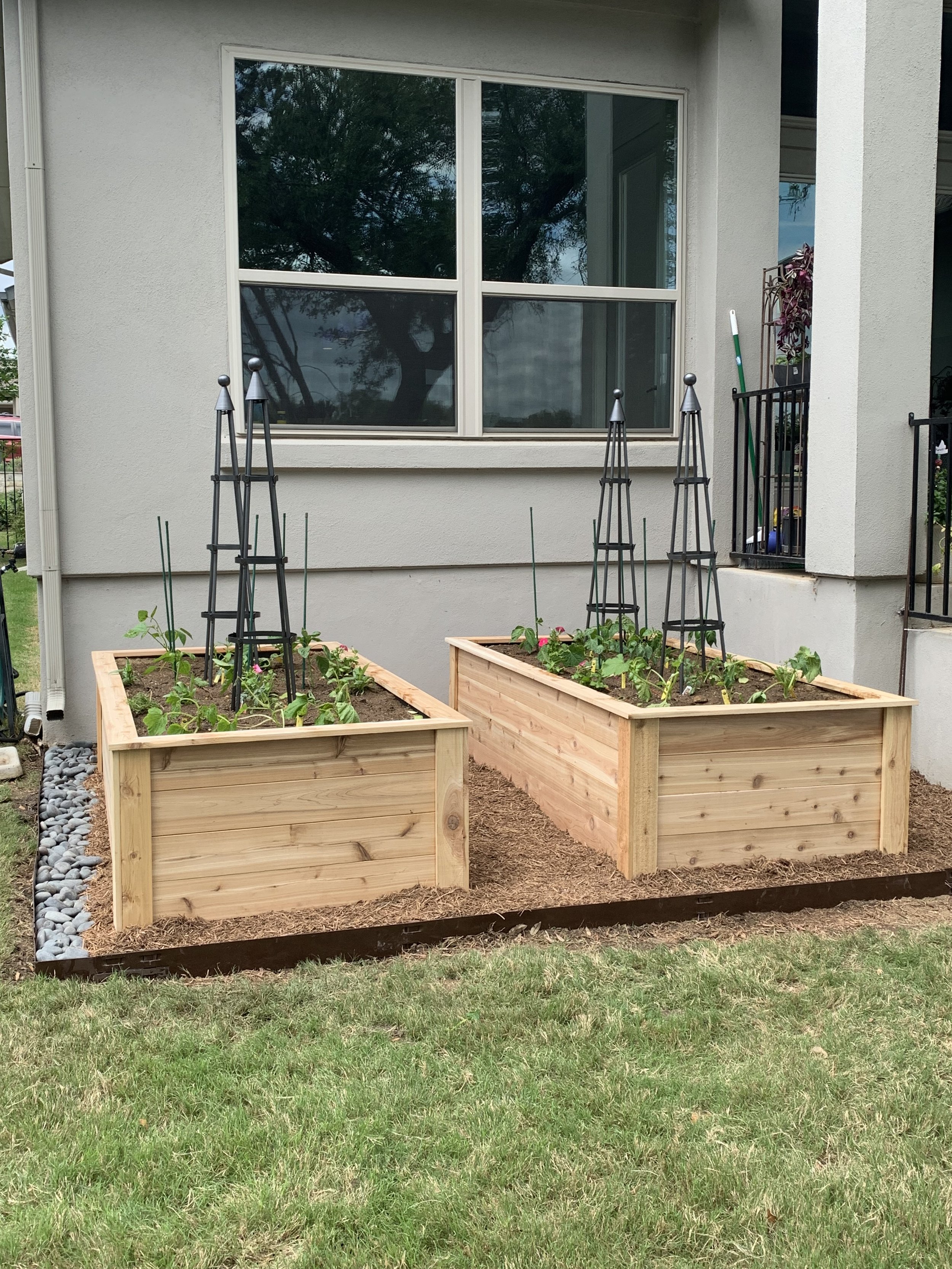 Raised Cedar Garden Box