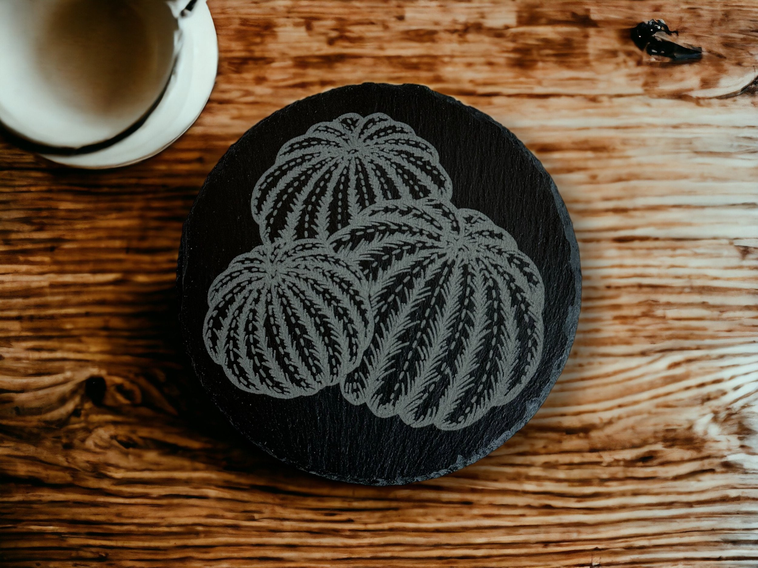 https://i.etsystatic.com/46855192/r/il/f6b09b/5957654763/il_fullxfull.5957654763_nvq9.jpg