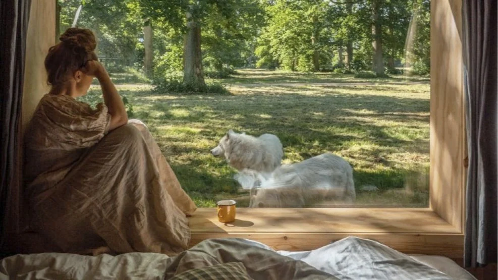 Eine Frau sitzt auf einer Fensterbank und blickt nach draußen, wo zwei weiße Wölfe vor einem Wald im Sonnenlicht stehen. Auf der Fensterbank steht eine Tasse.