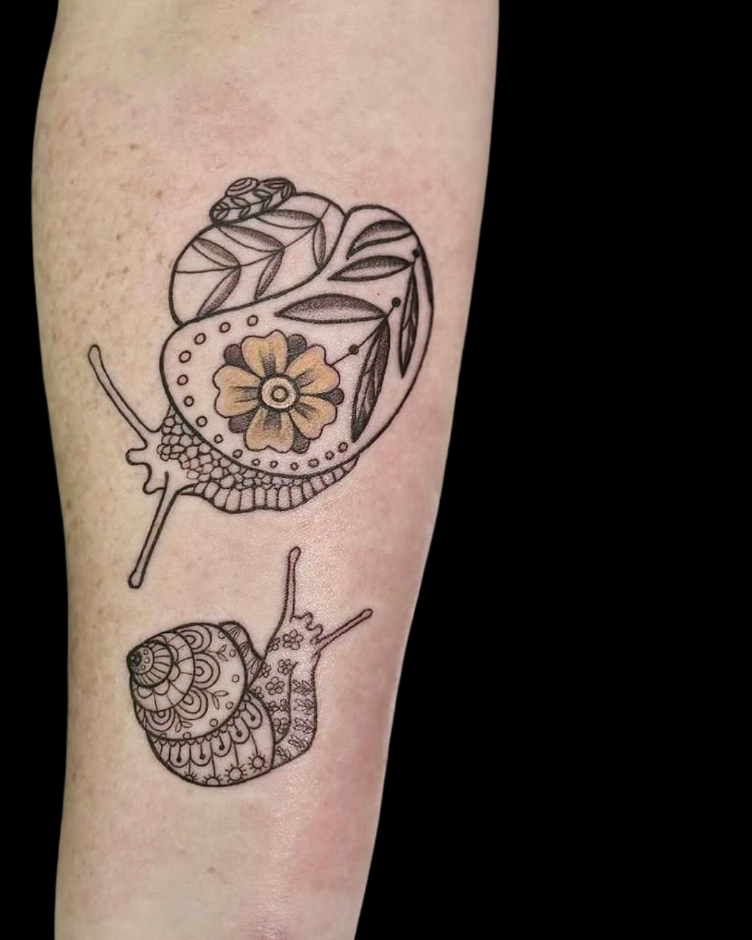 fine line snail tattoo
