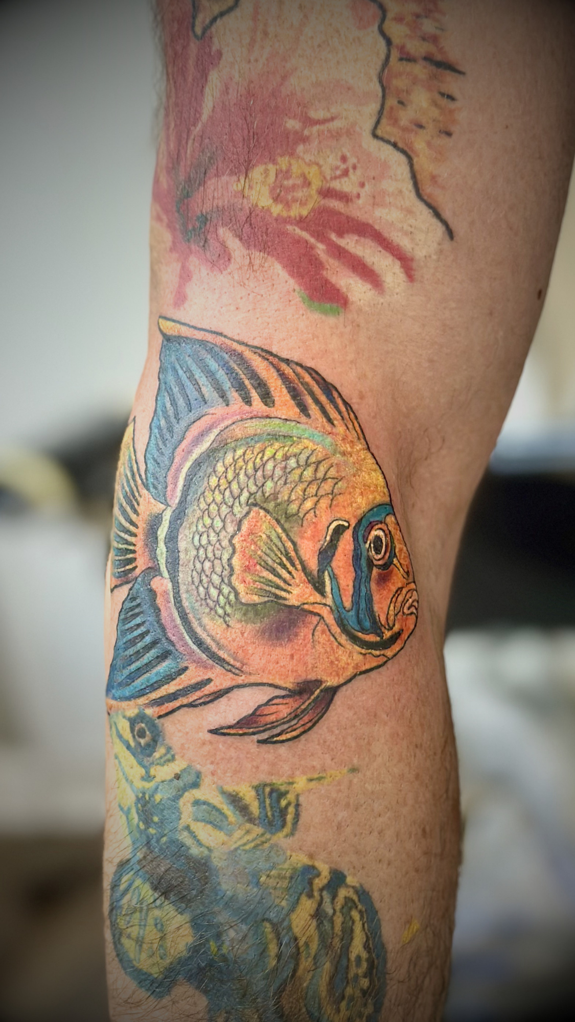 Colorful tattoo of a fish covering a person's arm.