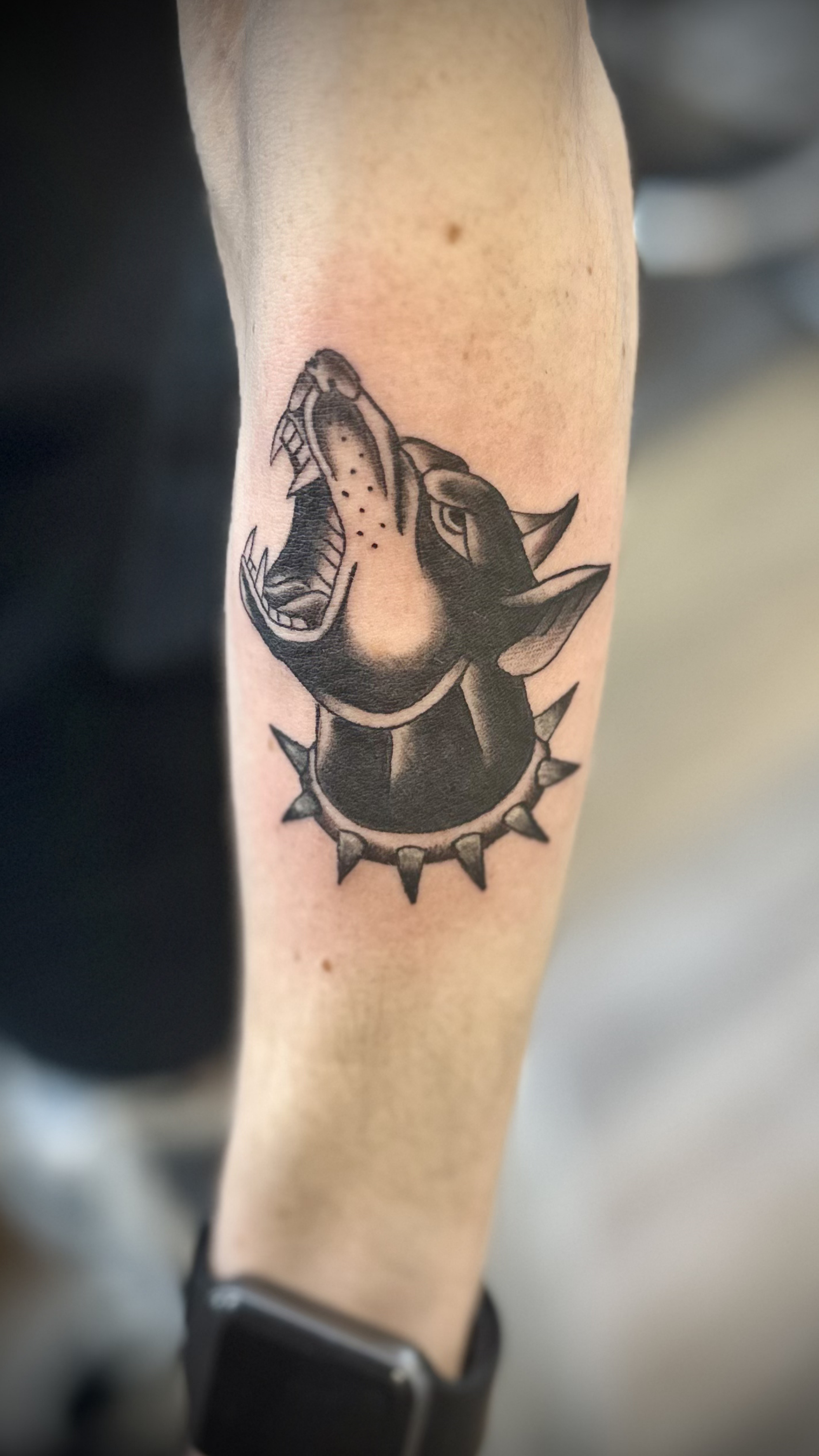 Tattoo of a dog's head with its mouth open, surrounded by a spiked collar, on a person's arm.