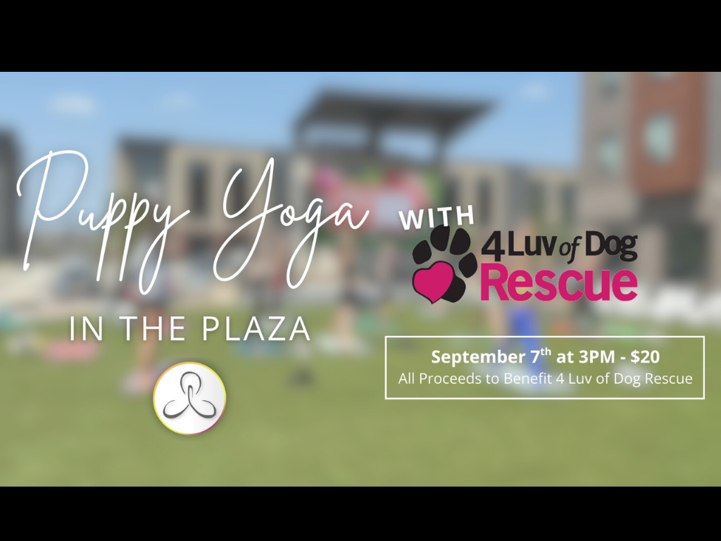 Puppy Yoga in the Plaza