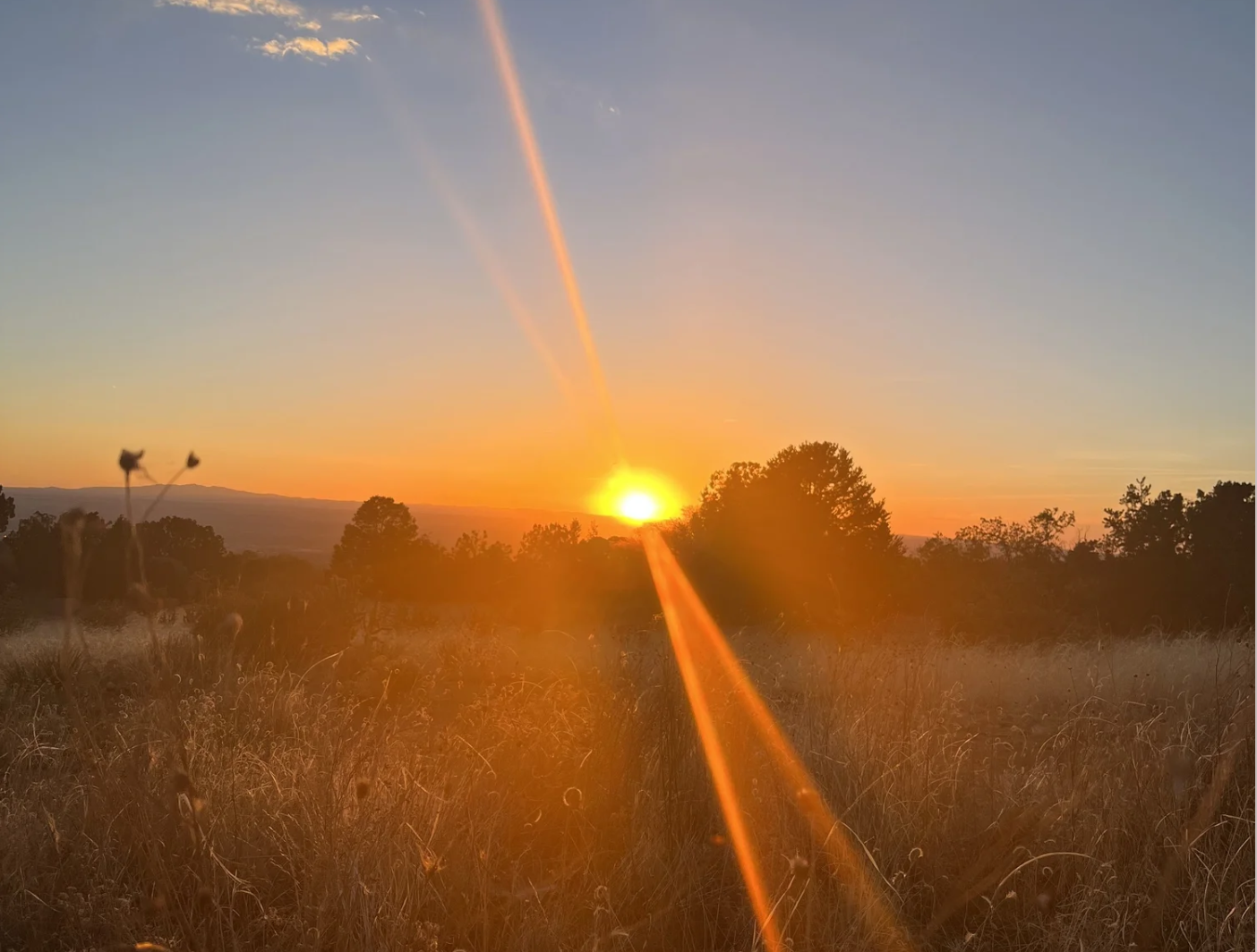 Summer Solstice Ritual Gathering + Yoga Nidra