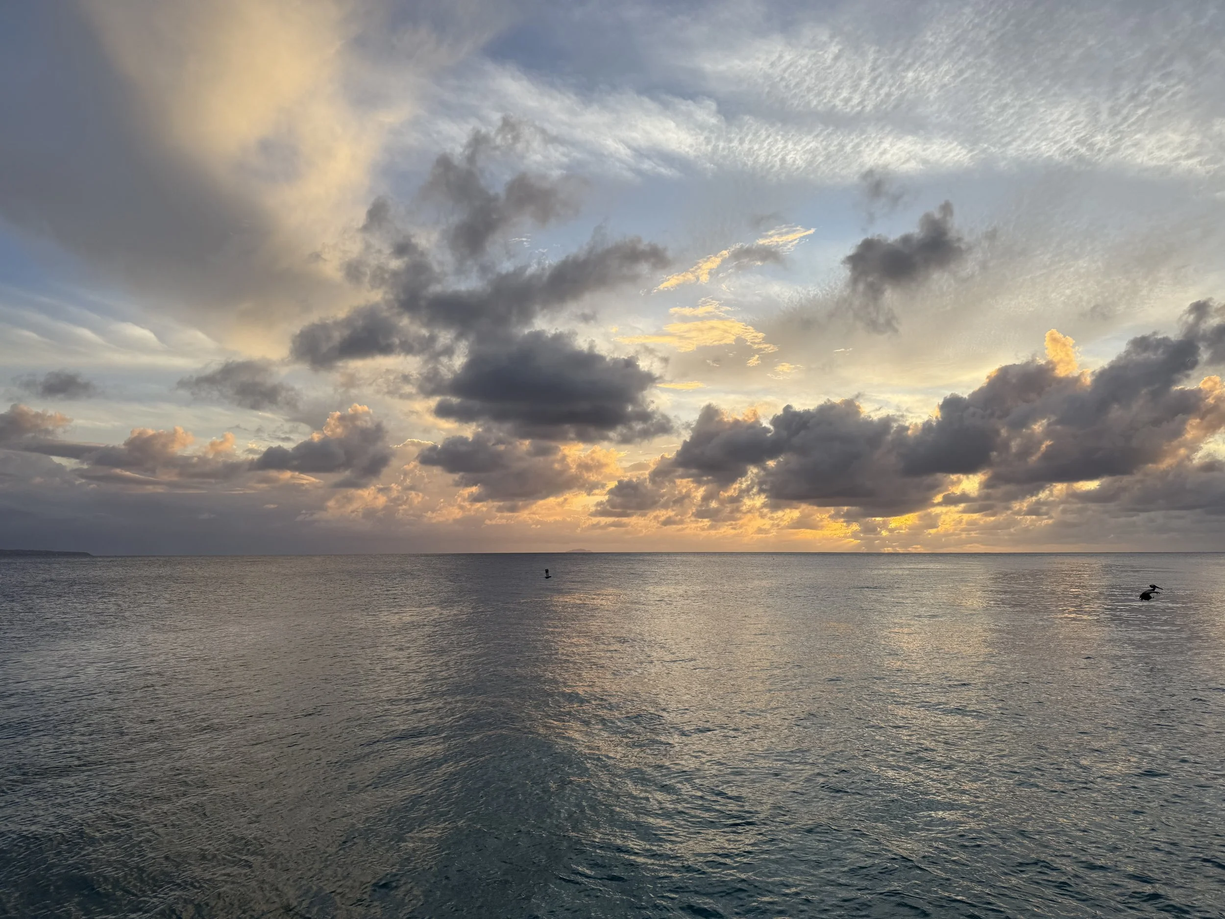 IMG_6528 4.jpg