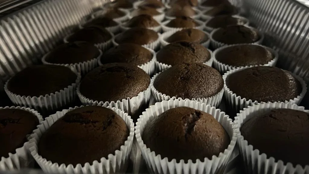 WhatsApp Image 2023-03-26 at 7.04.18 PM.jpeg