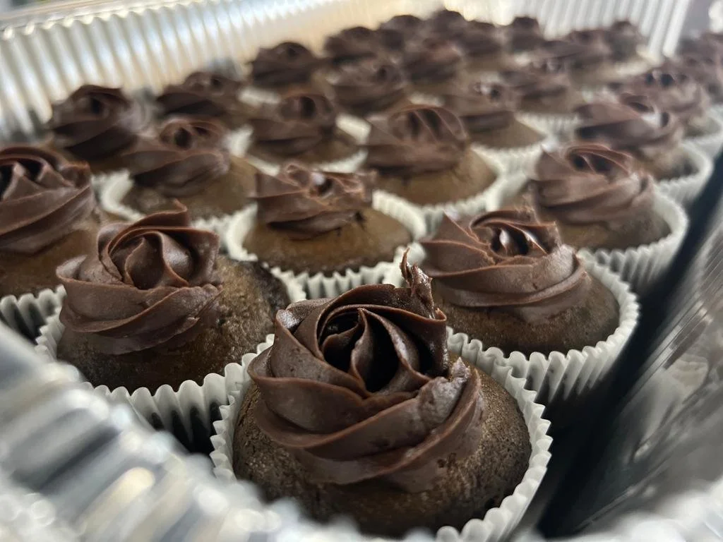 WhatsApp Image 2023-03-26 at 7.12.43 PM.jpeg