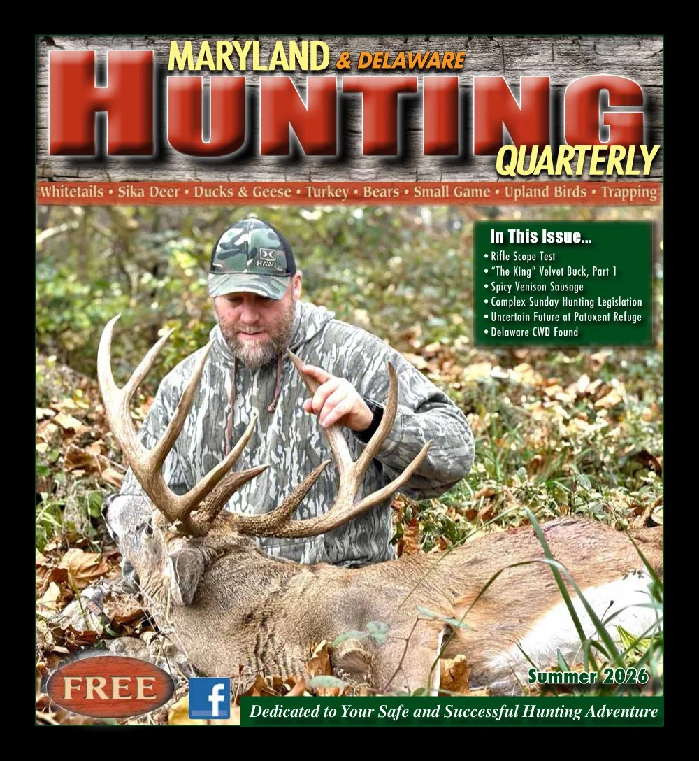 cover1.jpg