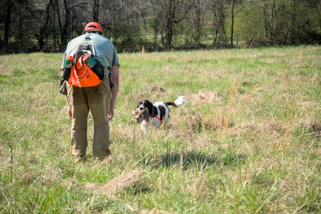 3E6A6736.jpg