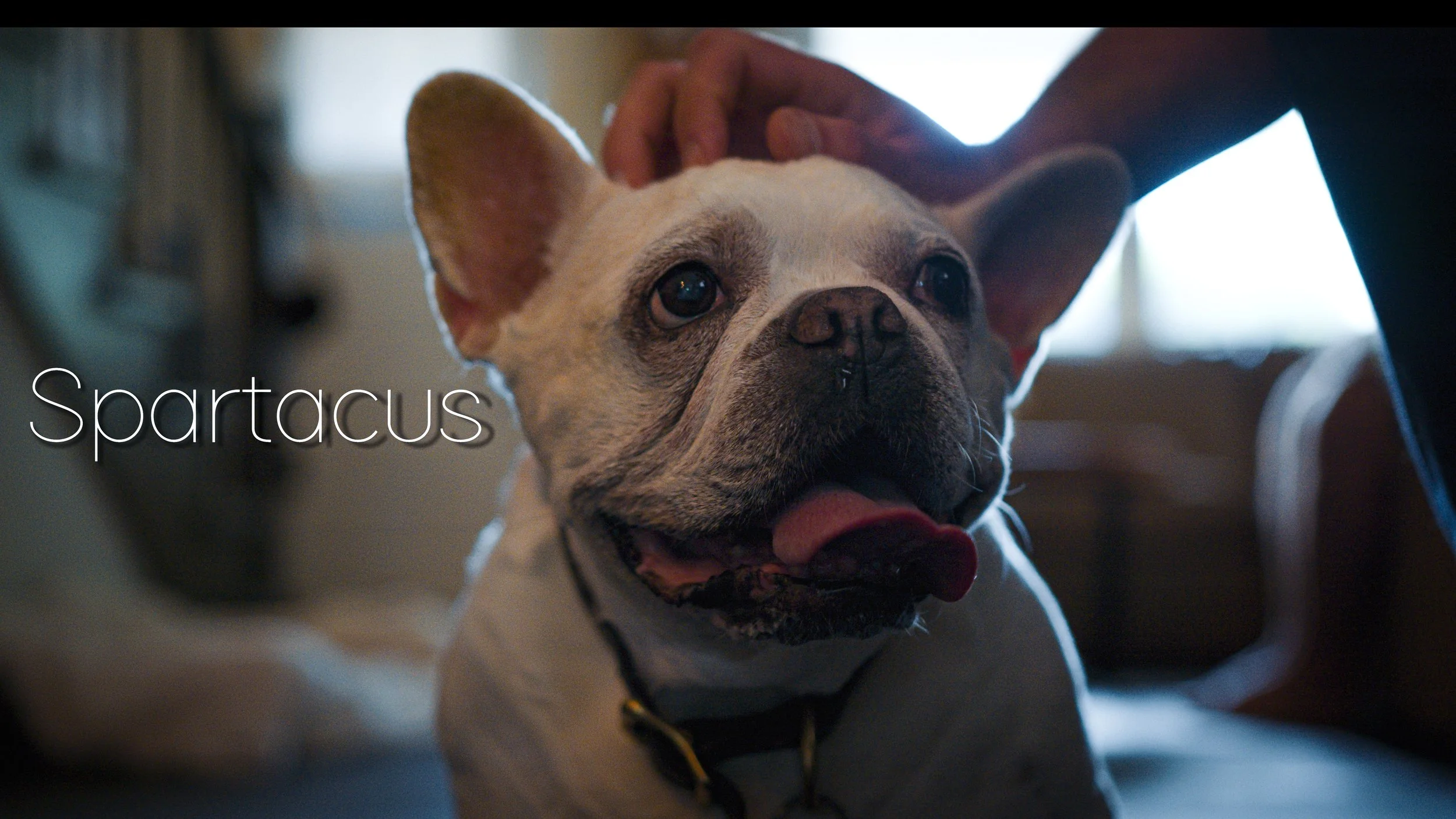 Slide 16