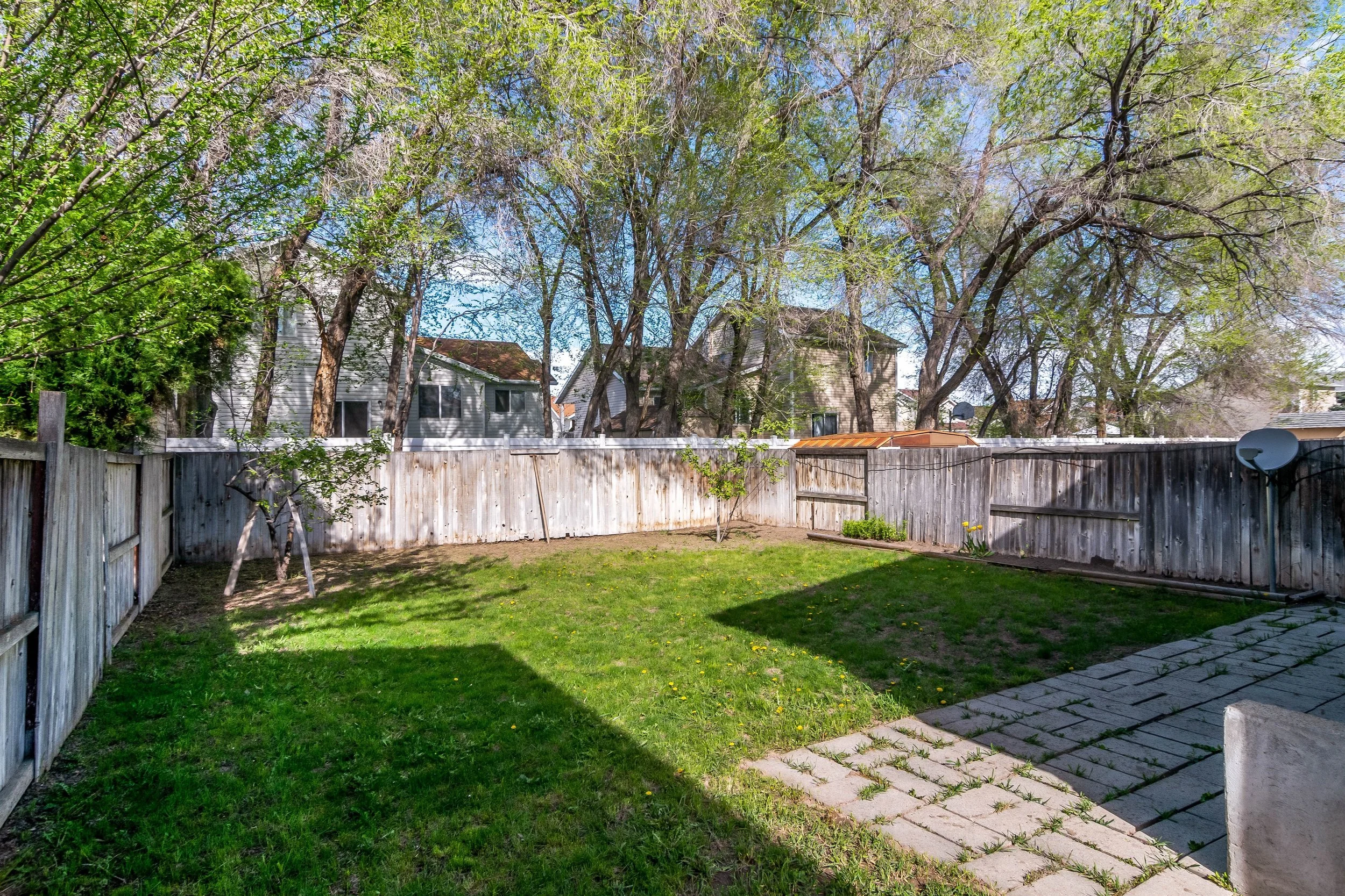 023_Backyard.jpg