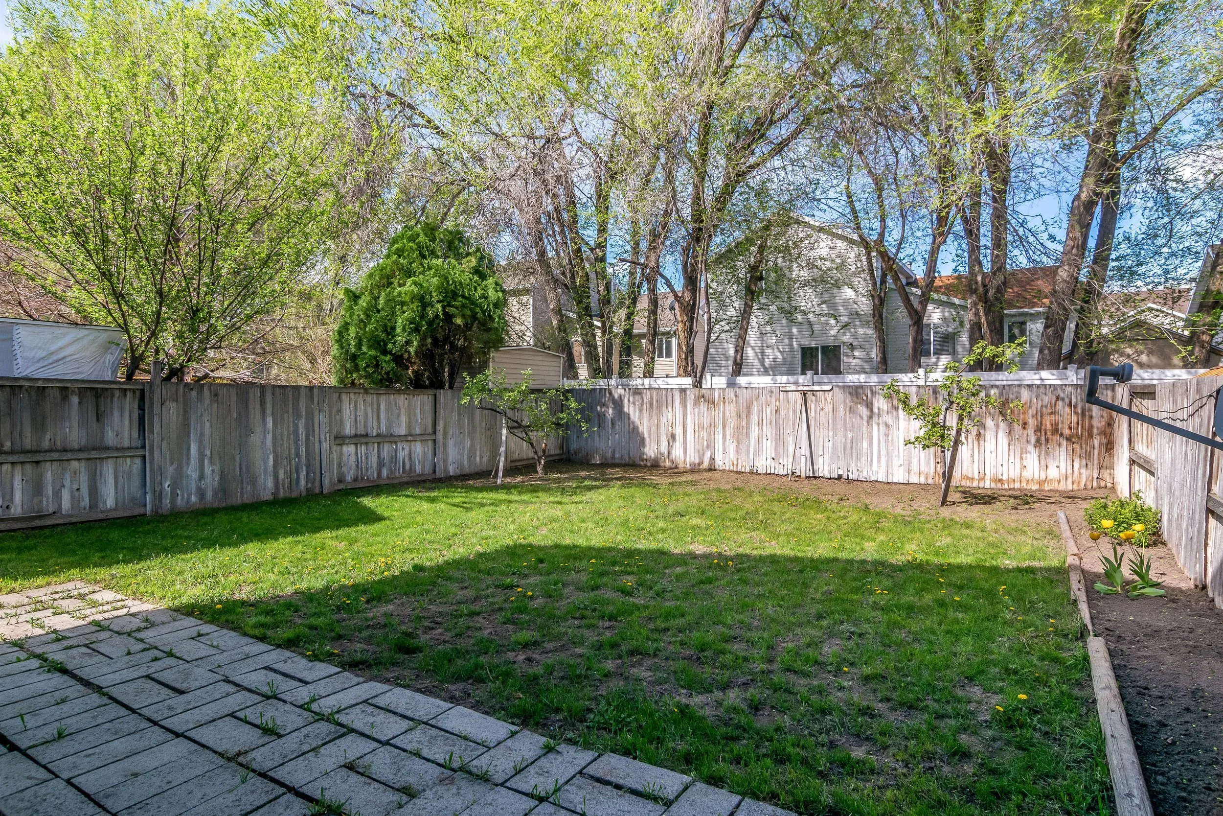 024_Backyard.jpg