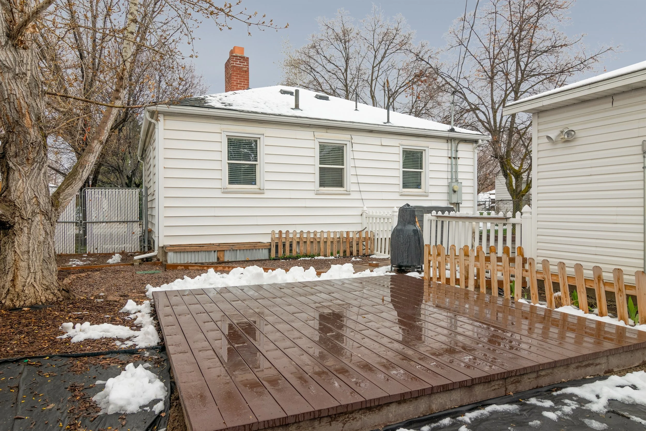023_Backyard .jpg