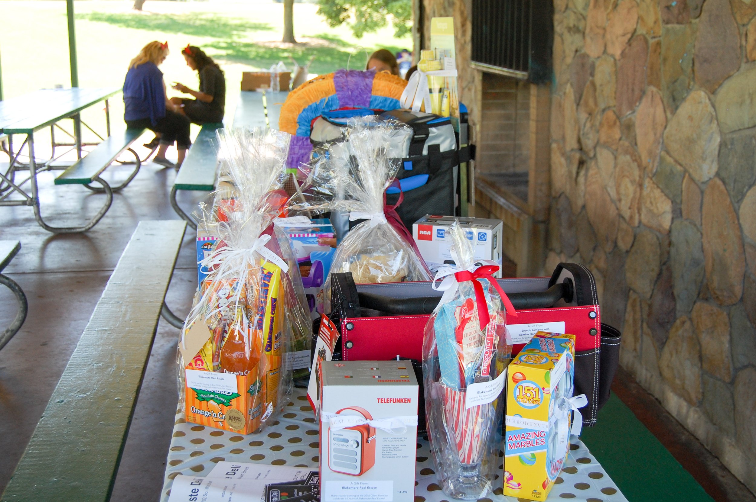 Client Picnic 2016-8.jpg