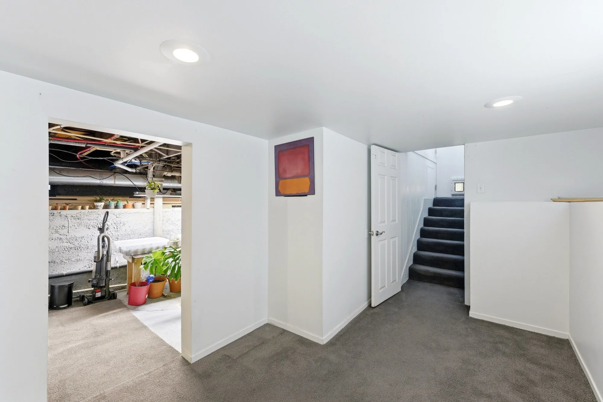 DSC09549.jpg