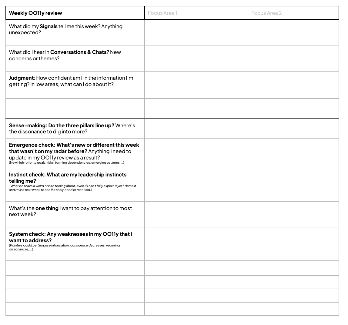 organizational observability worksheet and step-by-step improvement instructions with self-guided exercises by Lena Reinhard - weekly organizational observability review template