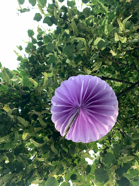 Purple paper lantern hanging among green foliage.