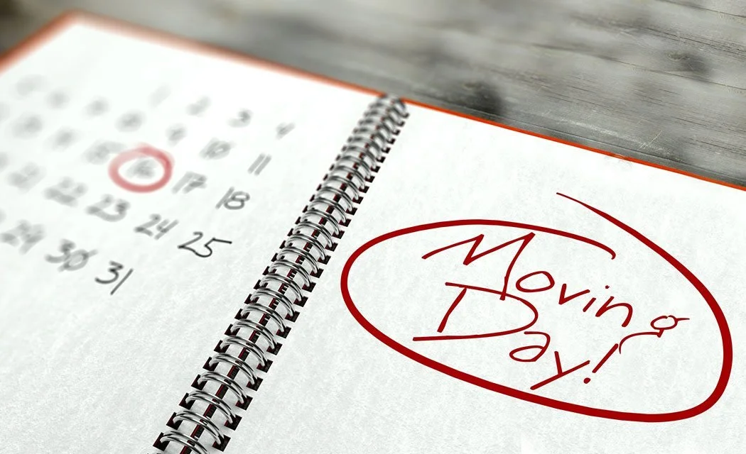 Next Step Moving: Your Trusted and Affordable Moving Experts in Eau Claire