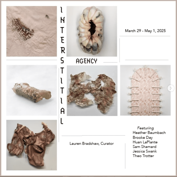 “Interstitial agency” exhibition
