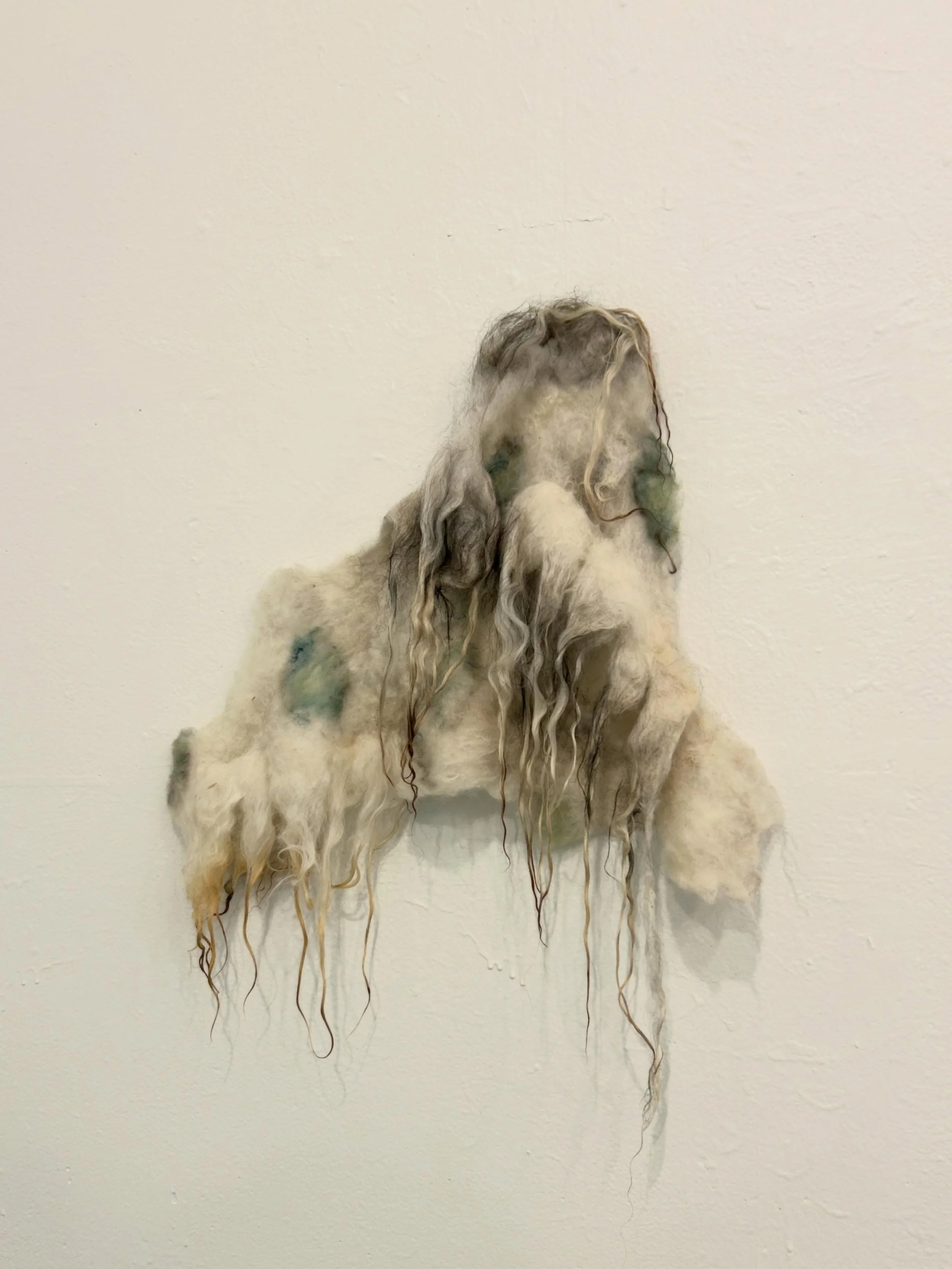 @samaratjohnsonart back again with some work I&rsquo;ve made @jentel.artist.residency so far. 

I was experimenting with surfaces by creating a wet felted wool substrate and adding materials to it - cyanotype, paint, and sculptural elements. I was es