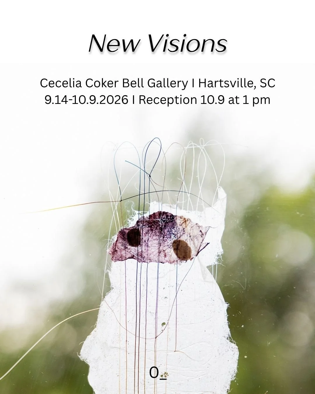 "New Visions" at Coker University