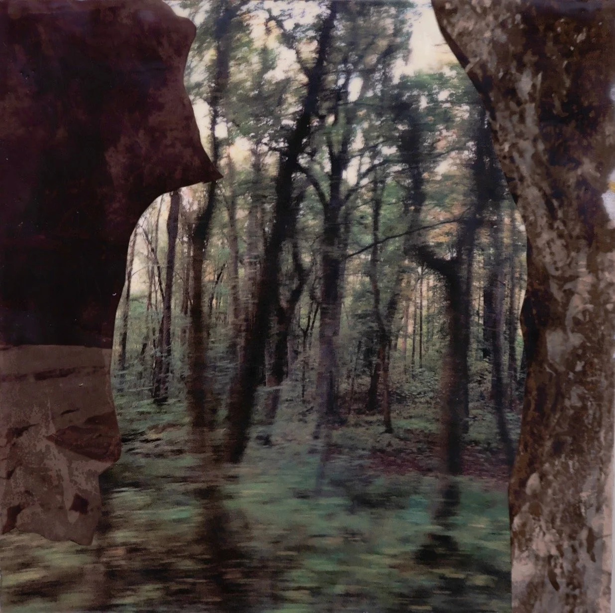 landscape-and-memory-gaffney-42 2.jpg