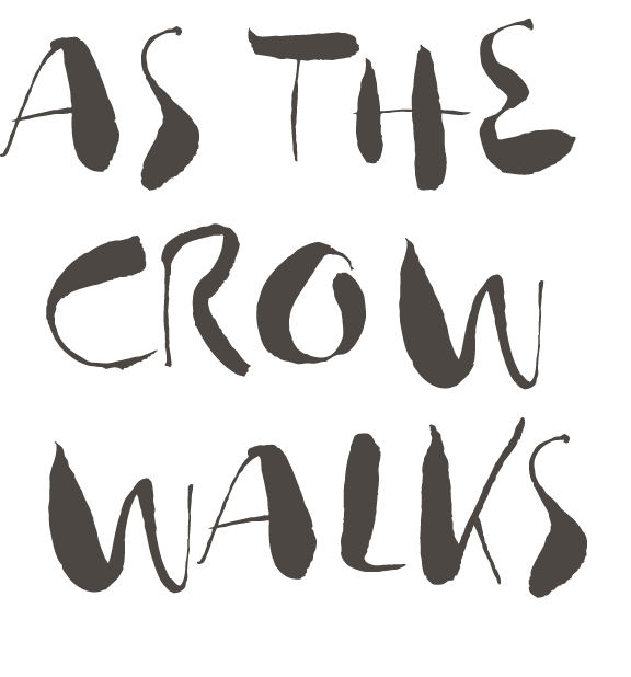As the Crow Walks