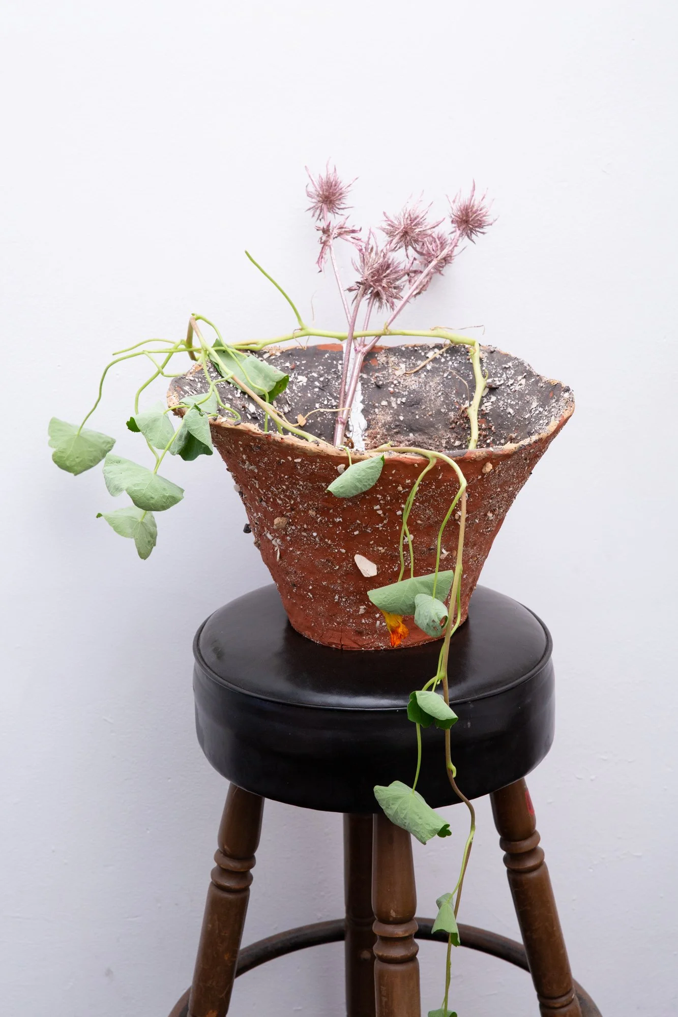 Such a pretty house such a pretty garden featuring Joey Turek • December 18, 2021 - January 30, 2022. Image: Lauren Beitel Turek