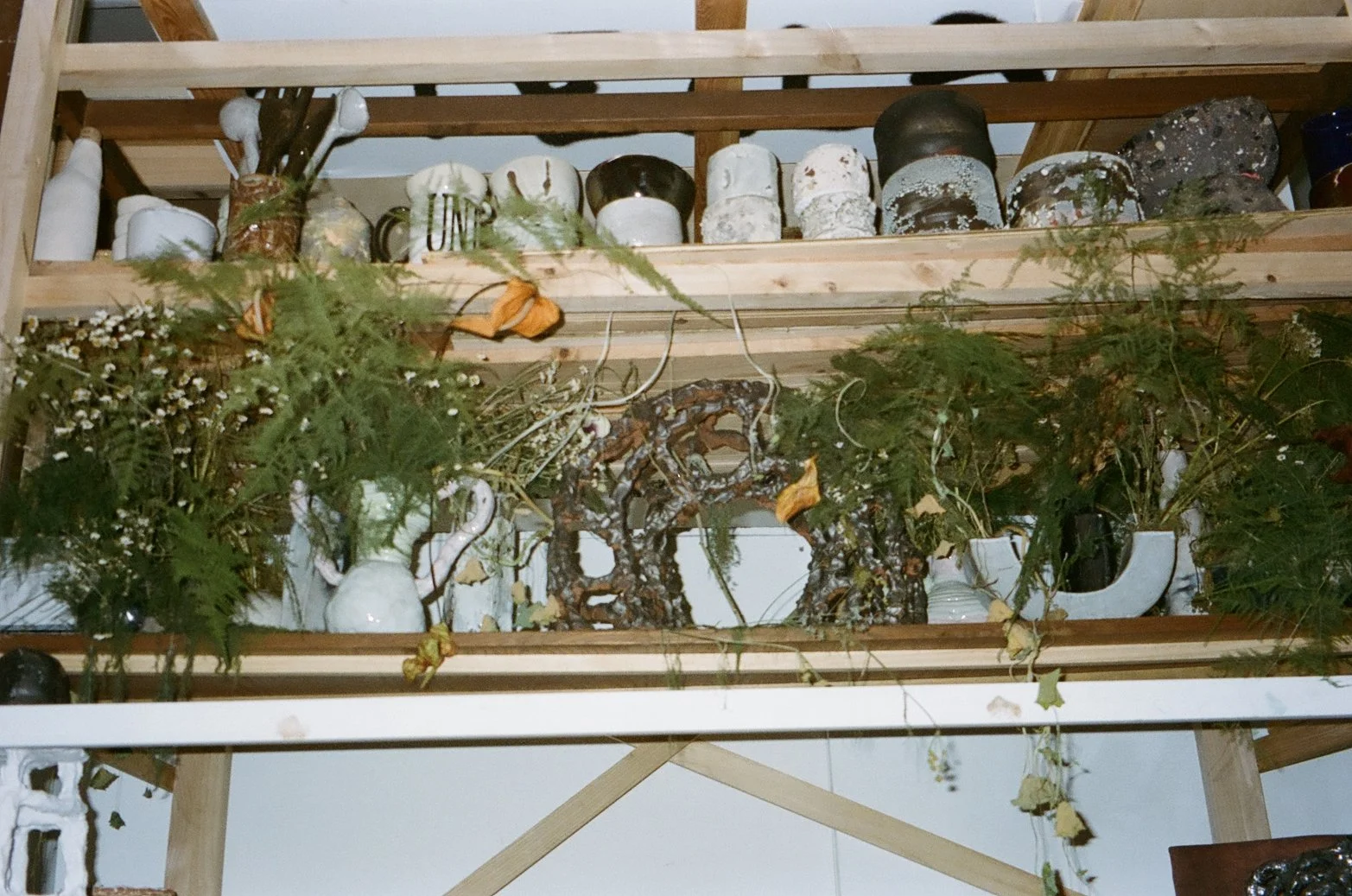 Such a pretty house such a pretty garden featuring Joey Turek • December 18, 2021 - January 30, 2022. Image: Daniella Murphy