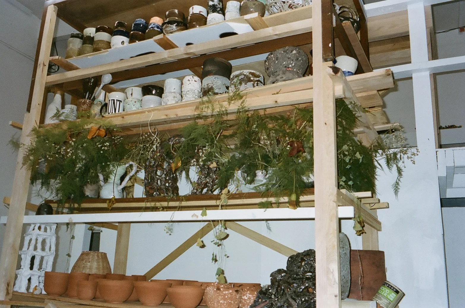 Such a pretty house such a pretty garden featuring Joey Turek • December 18, 2021 - January 30, 2022. Image: Daniella Murphy