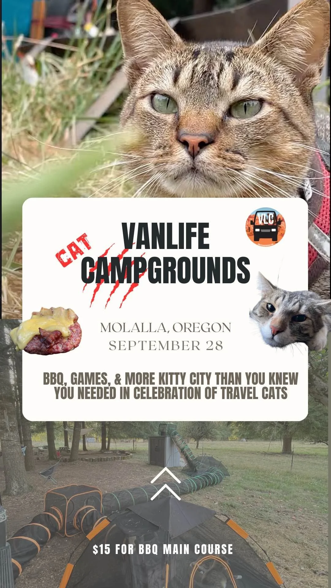 KITY CITY - TRAVEL CAT TAKEOVER EVENT
