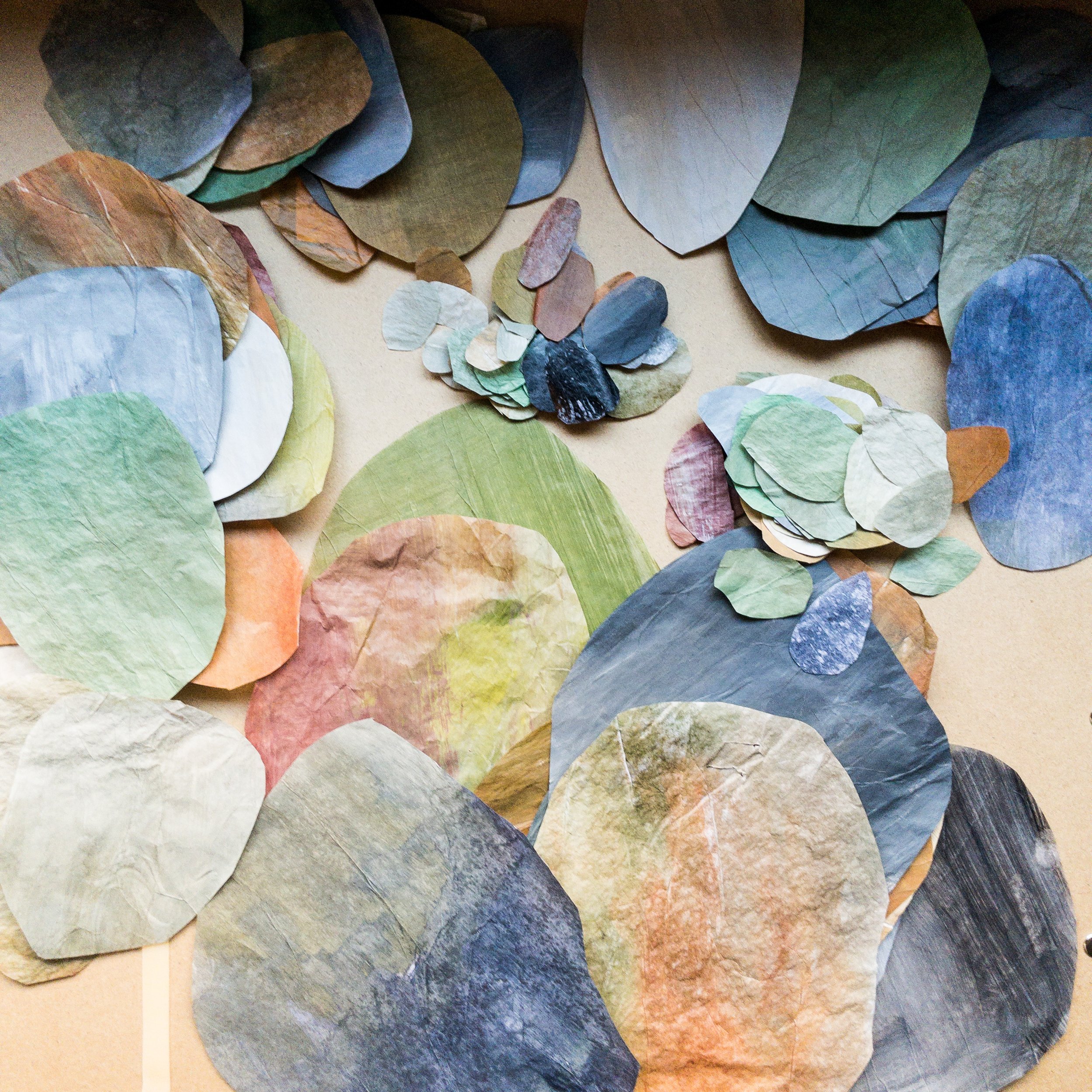 Stained Tissues Papers